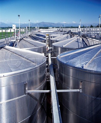 Refrigerated stainless steel tanks of   Via San Pedro Molina Chile  Lontue Valley