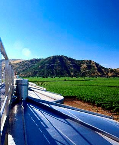 View over the vineyards from on top of the tanks   at Via San Pedro Molina Chile  Lontue Valley