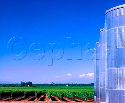 Refrigerated stainless steel tanks and vineyard of    Via San Pedro Molina Chile  Lontue Valley