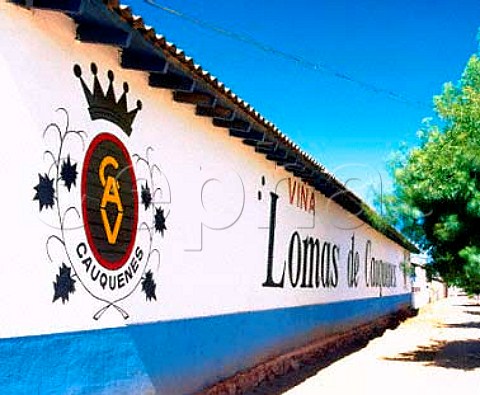 Via Lomas de Cauquenes cooperative  Also known as CAV Cauquenes its main brand is   Las Lomas    Maule Chile