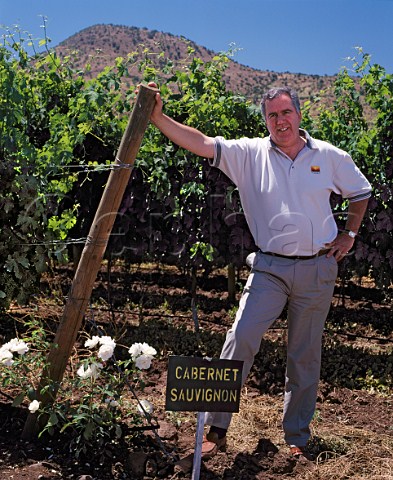Pablo Morand President of Via Morand in   Cabernet Sauvignon vineyard near San Fernando Chile   Colchagua Valley