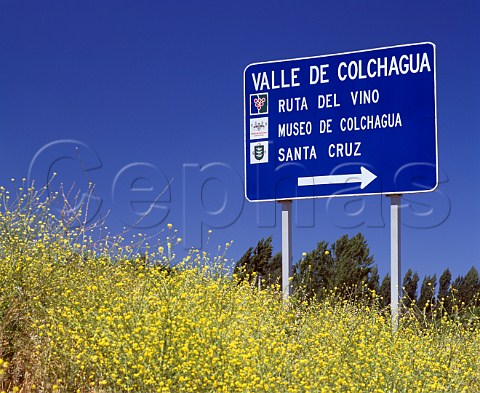 Sign for the Wine Route Ruta del Vino   in the Colchagua Valley Chile