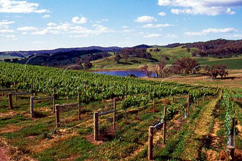 GeorgeIan Estate vineyards Tumbarumba   New South Wales Australia   Tumbarumba