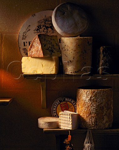 Assorted French cheeses