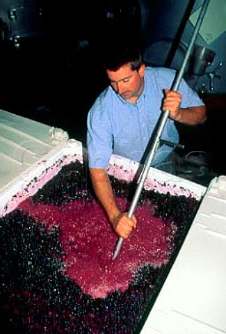 John C Abbott winemaker punchingdown   the grapeskin cap on fermenting   Cabernet Sauvignon   Walla Walla   Washington USA   Walla Walla AVA