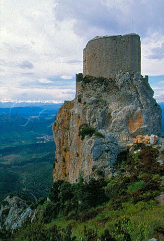 Chteau de Quribus one of the Cathar   castles built in the 13th century   Altitude 729 metres    Aude France