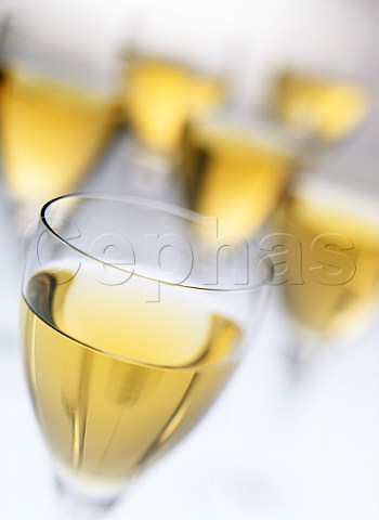 Glasses of white wine