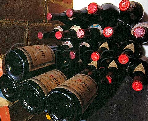 Wine stored in bins in the cellar of a house