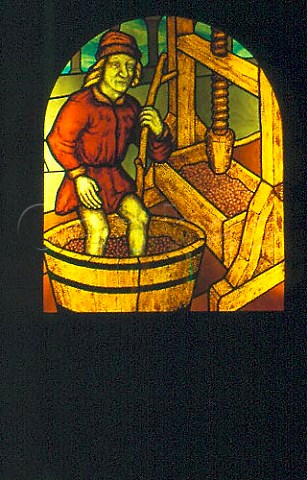 Stained glass window depicting  pressing   and treading grapes Hartenberg Estate   Stellenbosch South Africa