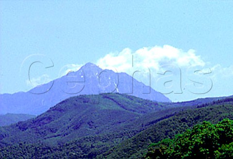 Mount Athos  Macedonia Greece