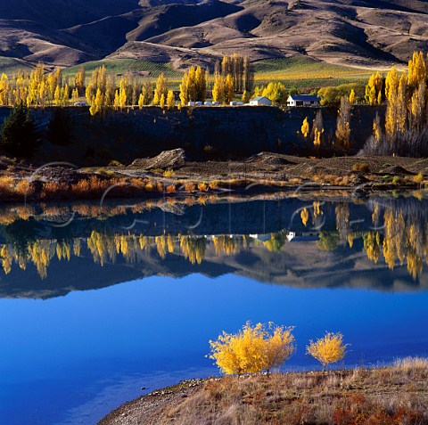 Akarua vineyard viewed over Lake Dunstan   Bannockburn New Zealand   Central Otago