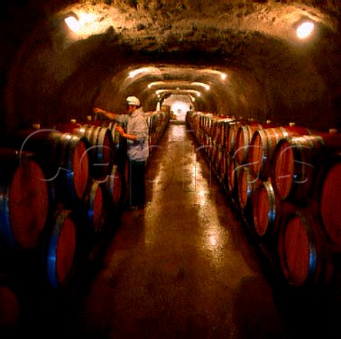 70metre long barrel cellar of Gibbston Valley   Wines Gibbston New Zealand   Central Otago