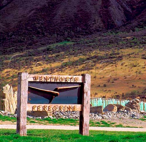 Sign for Peregrine Wines with new vineyard beyond   Gibbston New Zealand Central Otago