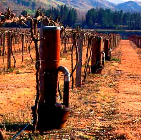 Antifrost smudge pot in vineyard of   Mt Difficulty Wines Bannockburn New Zealand    Central Otago