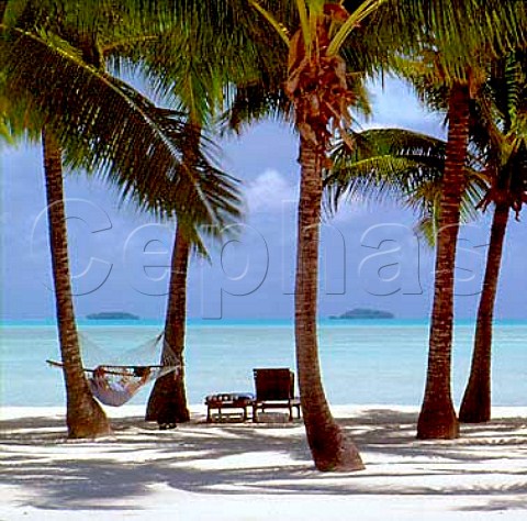 Aitutaki Lagoon Resort Cook Islands  New Zealand South Pacific Territory