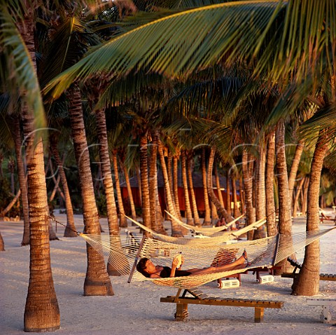 Woman in hammock strung between palm trees Aitutaki Lagoon Resort Cook Islands  New Zealand South Pacific Territory