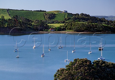 View over Te Whau Bay to Te Whau Vineyard from   Goldwater Estate Waiheke Island New Zealand