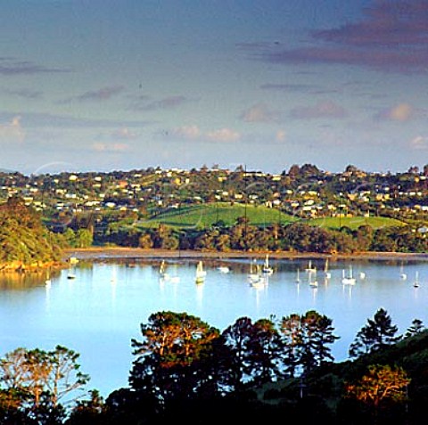 Goldwater Estate viewed across Te Whau Bay   Waiheke Island New Zealand