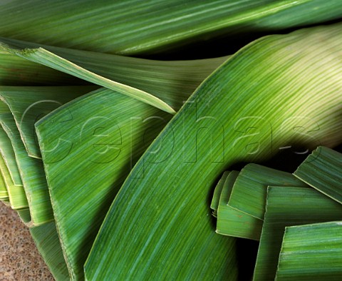 Leeks
