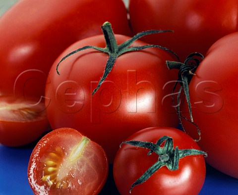 Tomatoes  different varieties