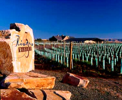New vineyard with the young vines protected by   grow tubes Three Rivers Winery Walla Walla   Washington USA   Walla Walla AVA