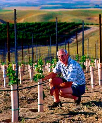 Rick Small in his recently planted Sauvignon Blanc   vineyard  the young vines are protected by grow   tubes which act as minigreenhouses  Woodward Canyon Winery Lowden Washington USA   Walla Walla Valley AVA