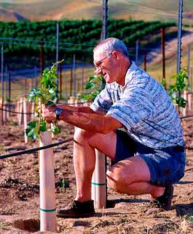 Rick Small in his recently planted Sauvignon Blanc   vineyard  the young vines are protected by grow   tubes which act as minigreenhouses  Woodward Canyon Winery Lowden Washington USA   Walla Walla Valley AVA