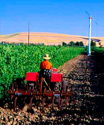 Ploughing in the Syrahplanted Cailloux vineyard ofCayuse Vineyards  the stones basalt cobbles aredue to it being planted in the ancient bed of theWalla Walla River  MiltonFreewater Oregon USA   Walla Walla Valley AVA