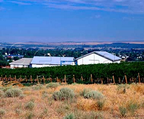 Vineyard and winery of of Terra Blanca Vintners  Benton City Washington USA   Red Mountain AVA