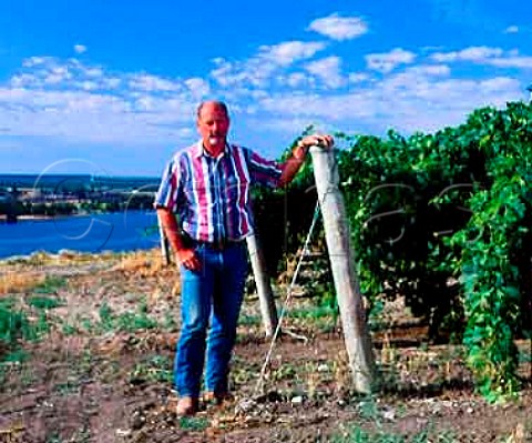 Jeff Gordon of Gordon Estate with Merlot   vines in his vineyard above the Snake River  Pasco Washington USA   Columbia Valley AVA