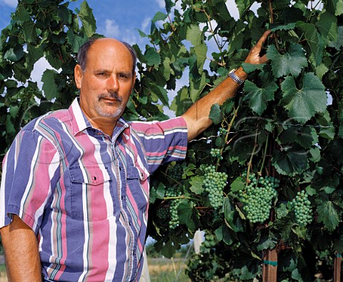 Jeff Gordon of Gordon Estate with   Chardonnay vines in his vineyard above the Snake River Pasco Washington USA     Columbia Valley AVA