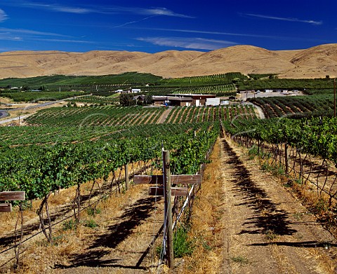 Sagelands winery and vineyard Wapato Washington USA  Yakima Valley AVA