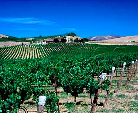 Covey Run winery and vineyards Zillah   Washington USA     Yakima Valley AVA