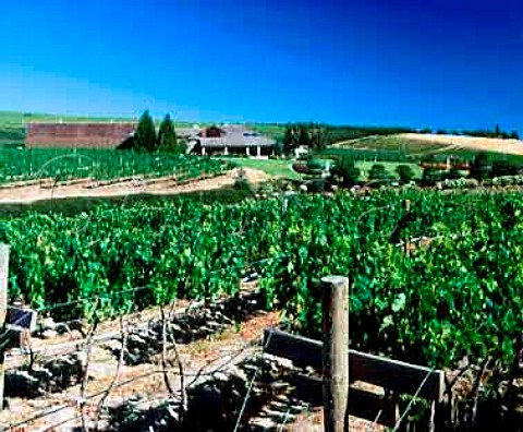Sagelands Winery and vineyard owned by the   Chalone Wine Group Wapato Washington USA   Yakima Valley AVA