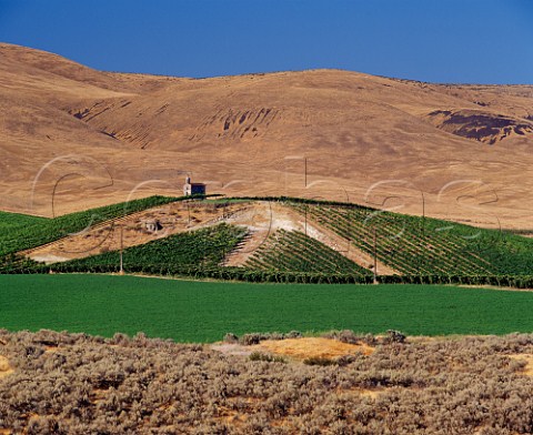 Mike Sauers Red Willow Vineyard provides grapes to many of Washingtons best wineries The chapel is a replica of the one on the hill of Hermitage in the Rhne Valley Near Toppenish Washington USA Yakima Valley AVA