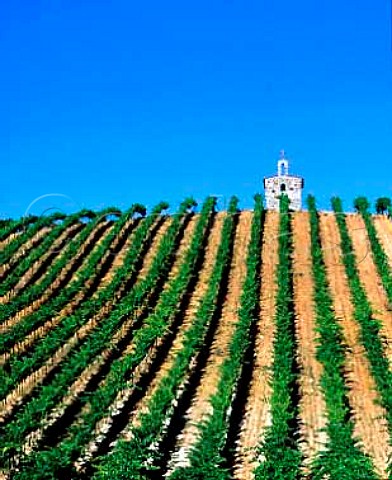 Mike Sauers Red Willow Vineyard provides grapes tomany of Washingtons best wineries The chapel is areplica of the one on the hill of Hermitage in theRhne Valley    Near Toppenish Washington USA Yakima Valley AVA