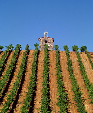 Mike Sauers Red Willow Vineyard provides grapes to many of Washingtons best wineries The chapel is a replica of the one on the hill of Hermitage in the Rhne Valley    Near Toppenish Washington USA Yakima Valley AVA