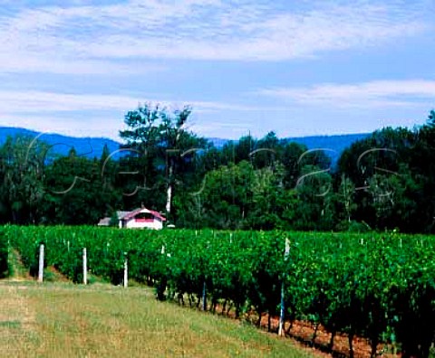 Home of Bob and Lelo Kerivan owners of   Bridgeview Vineyards in the Illinois Valley   Cave Junction Oregon USA  Rogue Valley AVA