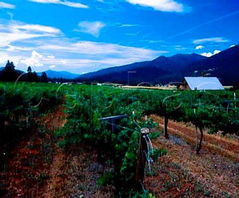 Valley View Winery and vineyard in the   Applegate Valley Ruch Oregon USA  Rogue Valley AVA