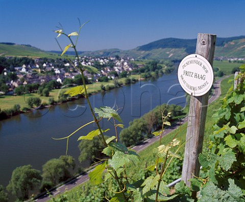 Dusemonder Hof sign in vines of Weingut Fritz Haag in the Juffer Sonnenuhr vineyard across the Mosel River from Brauneberg Germany   Mosel