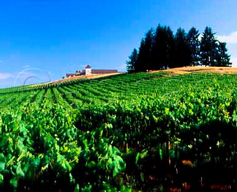 King Estate Winery Lorane Oregon USA   Willamette Valley AVA