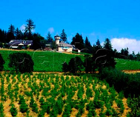 Winery of Willamette Valley Vineyard Turner   Oregon USA       Willamette Valley AVA