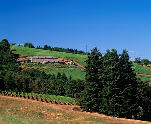 Archery Summit Winery and vineyard  near Dundee Oregon USA  Willamette Valley AVA