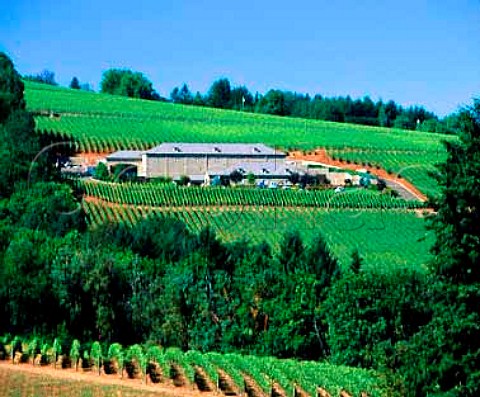 Archery Summit Winery and vineyard  near Dundee Oregon USA  Willamette Valley AVA