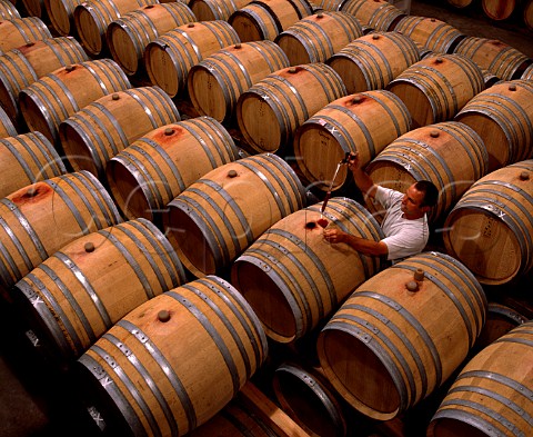 Tasting Pinot Noir from barrel in the cellars of Beaux Frres Newberg Oregon USA   Willamette Valley
