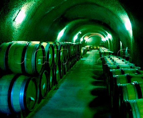Barrel cellar of Archery Summit Winery   Dayton Oregon USA  Willamette Valley AVA