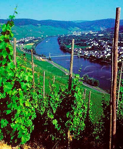 View from the Wehlener Sonnenuhr vineyard across the   Mosel to Wehlen Germany      Mosel