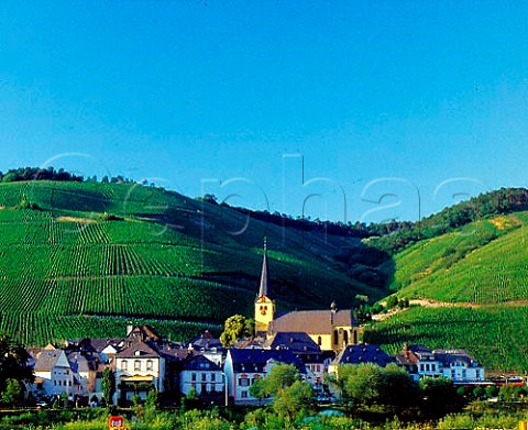 Zeltingen below the Schlossberg and Sonnenuhr   vineyards Germany     Mosel