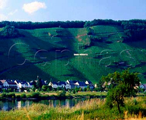 Wrzgarten vineyard above rzig and the Mosel   Germany     Mosel