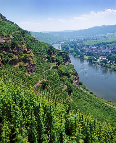 View from the rziger Wrzgarten vineyard across the Mosel River to Erden rzig Germany  Mosel